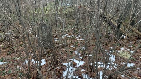 Kilbride United Cemetery New Years Eve 2021 - IMG_3684.JPG