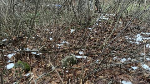 Kilbride United Cemetery New Years Eve 2021 - IMG_3685.JPG