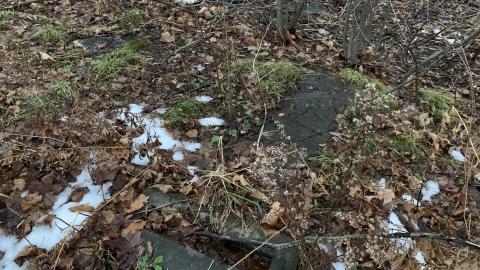 Kilbride Presbyterian Pioneer Cemetery New Years Eve 2021 - IMG_3699.JPG