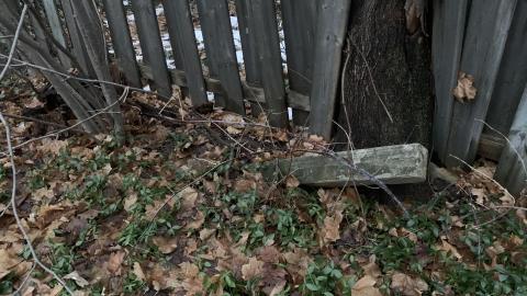 Kilbride Presbyterian Pioneer Cemetery New Years Eve 2021 - IMG_3705.JPG