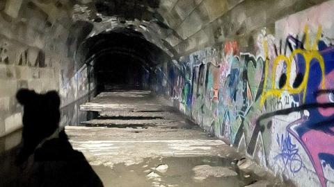 Photo from New Years Eve