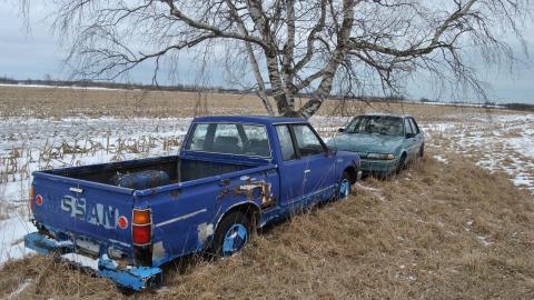 Tilting Against Windmills - March 2013 - DSC_0031.jpg
