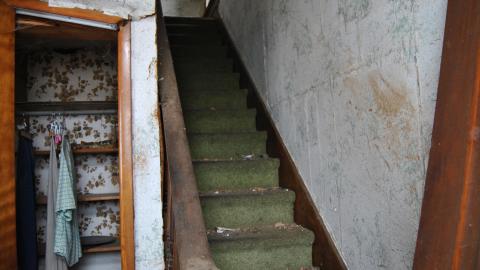 Photo from Tilting Against Windmills - March 2013