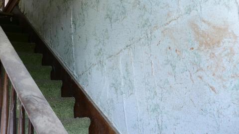 Tilting Against Windmills - March 2013 - DSC_0065.jpg