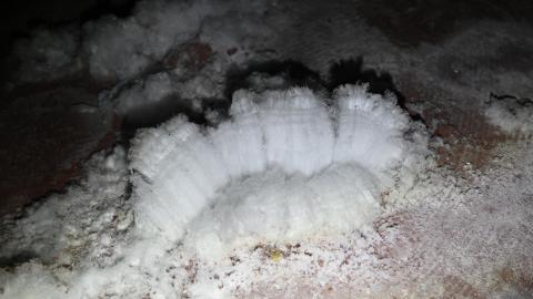 Asbestos Dungeon - _DSC8683.JPG