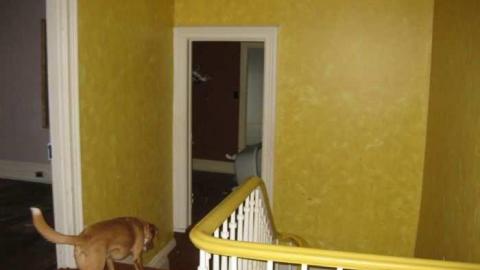 Photos - North-Oakville-farm43.jpg