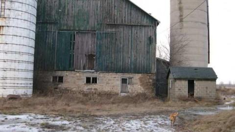 North Oakville farm photo 2