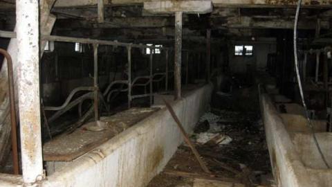 Photos - North-Oakville-farm70.jpg