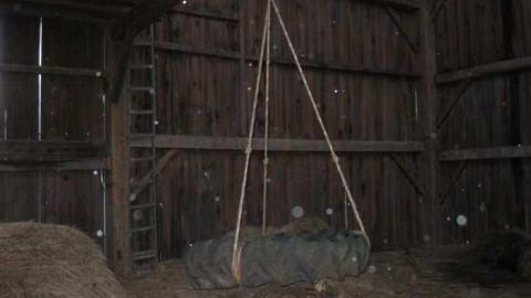 Photos - North-Oakville-farm71.jpg