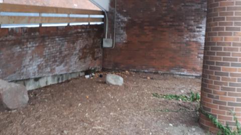 Empty Market Squares - 20211129_160703.jpg