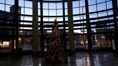 Empty Market Squares - 20211129_170436.jpg