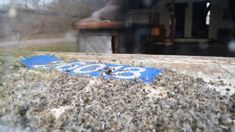 General Store - December 2014 - 3.jpg