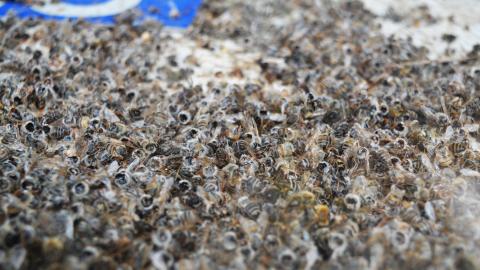 General Store - December 2014 - 4.jpg