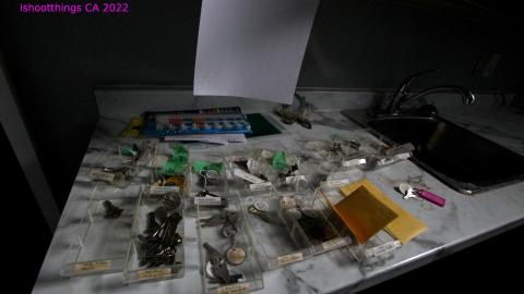 Only Good For Demolition - IMG_1220.JPG