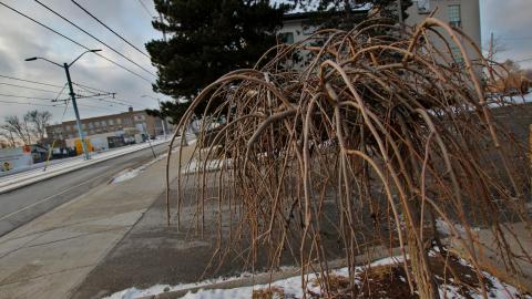 Only Good For Demolition - IMG_1269.JPG