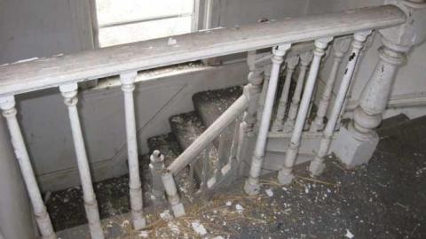 My Photos - IMG_0314.jpg