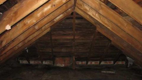 My Photos - IMG_0315.jpg