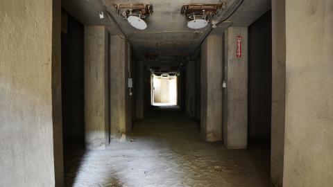 Disco Buns Master - September 2014 - 2.jpg