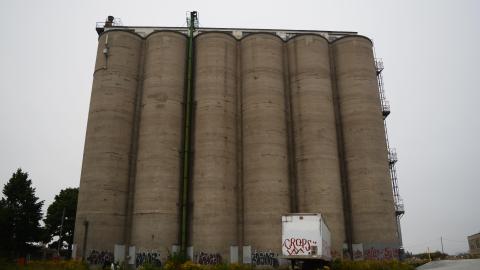 Disco Buns Master - September 2014 - 1.jpg