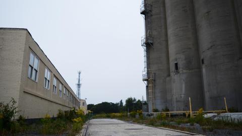 Disco Buns Master - September 2014 - 5.jpg