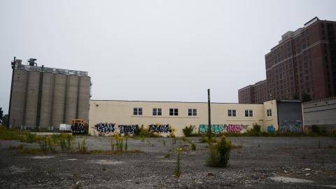 Disco Buns Master - September 2014 - 18.jpg