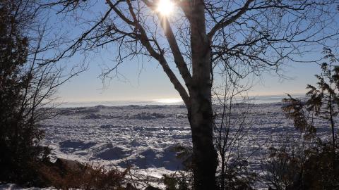 Jan 15 2022 - D90B5198-6A42-4EC9-A6A3-3C6653DE9964.jpeg