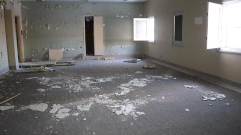 Jan 15 2022 - CB2254D3-5D69-4F10-80D6-70D0EBC6DE79.jpeg