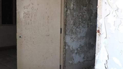 Jan 15 2022 - E1BB7628-CFAF-4363-B7CD-B514370D8EDD.jpeg