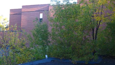 Crooked Overexposed Low-Res Photos From A Decade Ago - October 2012 - IMG_2386.JPG