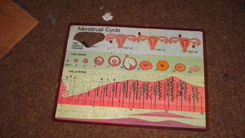 Crooked Overexposed Low-Res Photos From A Decade Ago - October 2012 - IMG_2406.JPG