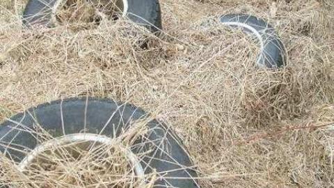 September 2008 - n500591789_2176359_4301918.jpg