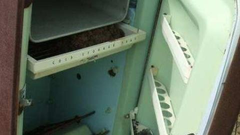 September 2008 - n500591789_2176354_6493321.jpg