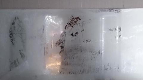 Second Visit - IMG_20220109_120508554.jpg