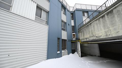 Too Much Snow - _DSC8716.JPG