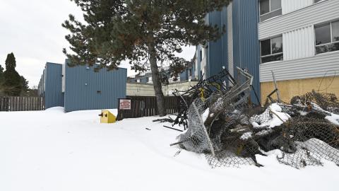 Too Much Snow - _DSC8705.JPG