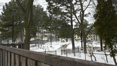 Too Much Snow - _DSC8715.JPG