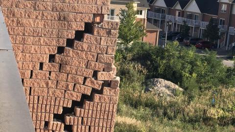 Summer 2020 - t_1664.jpg