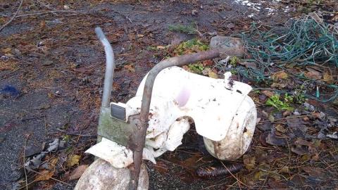 Quick Visit - IMG_20211231_115258185.jpg