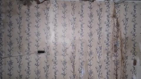 Quick Visit - IMG_20211231_122547335.jpg