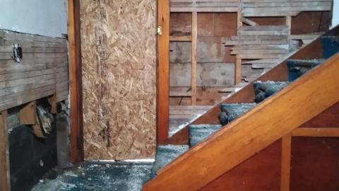 I can Smell You - IMG_20211231_123039503.jpg