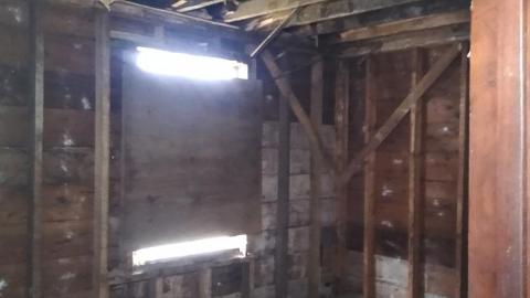 I can Smell You - IMG_20211231_123116086.jpg