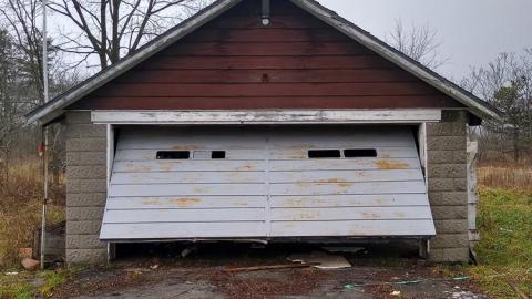 I can Smell You - IMG_20211231_122810708_HDR.jpg