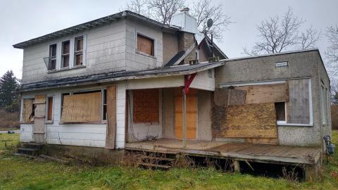 I can Smell You - IMG_20211231_122909981_HDR.jpg