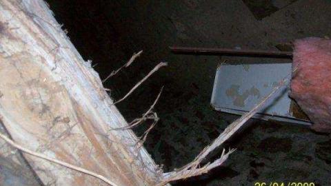 Gallery - Chelmsford-Red-House34.jpg