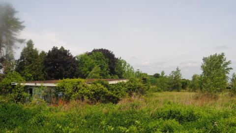 First Time Getting Wet - June 2013 - DSC_0199.JPG