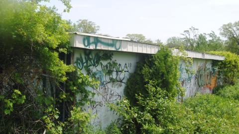 First Time Getting Wet - June 2013 - DSC_0201.JPG