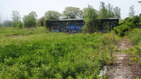 Photo from First Time Getting Wet - June 2013