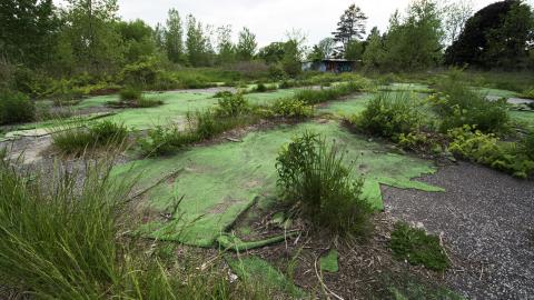 One Last Splash - May 2016 - 1.jpg