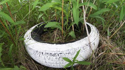 Photo from One Last Splash - May 2016