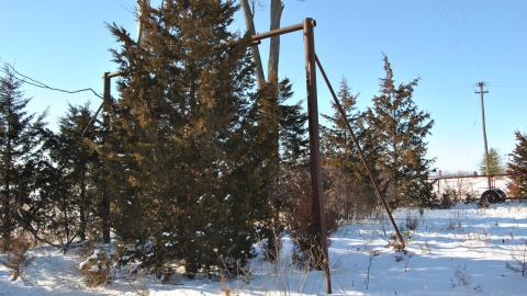 Schools Out - December 2012 - DSC_0418.JPG